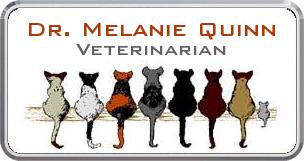 Colordome Animal Namebadges Colordome Animal Namebadges