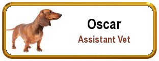Colordome Veterinary Nametags