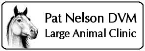 Engraved Veterinary Name Tags