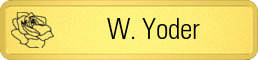 Metalfrost Hair Salon Namebars