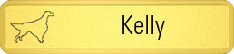 Metalfrost Spa Namebars