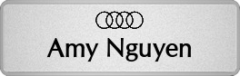 Metalfrost Audi Namepins