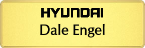 Metalfrost Hyundai Nametags